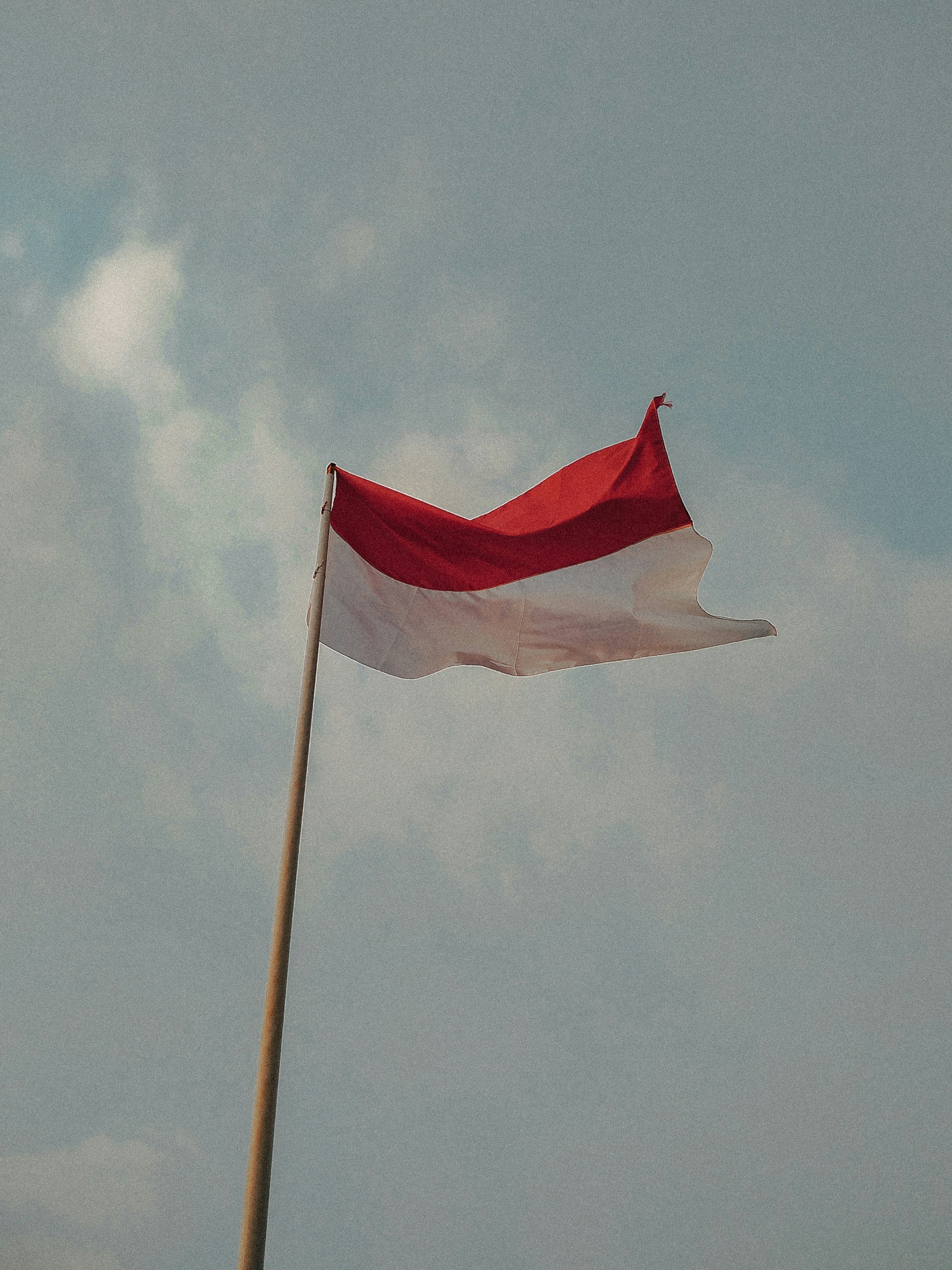 indonesian independence wallpaper, wallpaper, Sejarah Kemerdekaan Indonesia: Perjuangan dan Proklamasi 2