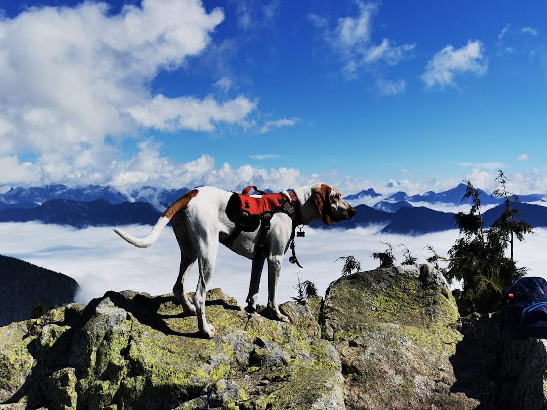 Mountaineering photo spot Mount Seymour Whistler