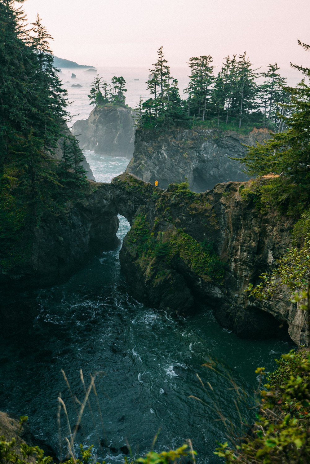 montagne rocheuse verte et brune avec des chutes d’eau