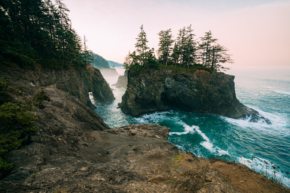 green trees on brown rocky mountain beside blue sea under blue sky during daytime