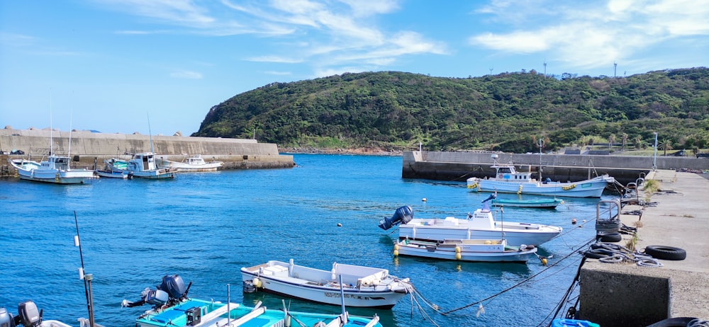 white and blue boat on sea during daytime