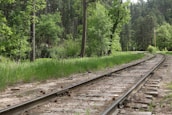 A set of old railway tracks run through a lush forested area. There is vibrant green grass growing beside the tracks, and tall trees surround the scene, indicating a serene and natural environment.
