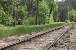A set of old railway tracks run through a lush forested area. There is vibrant green grass growing beside the tracks, and tall trees surround the scene, indicating a serene and natural environment.