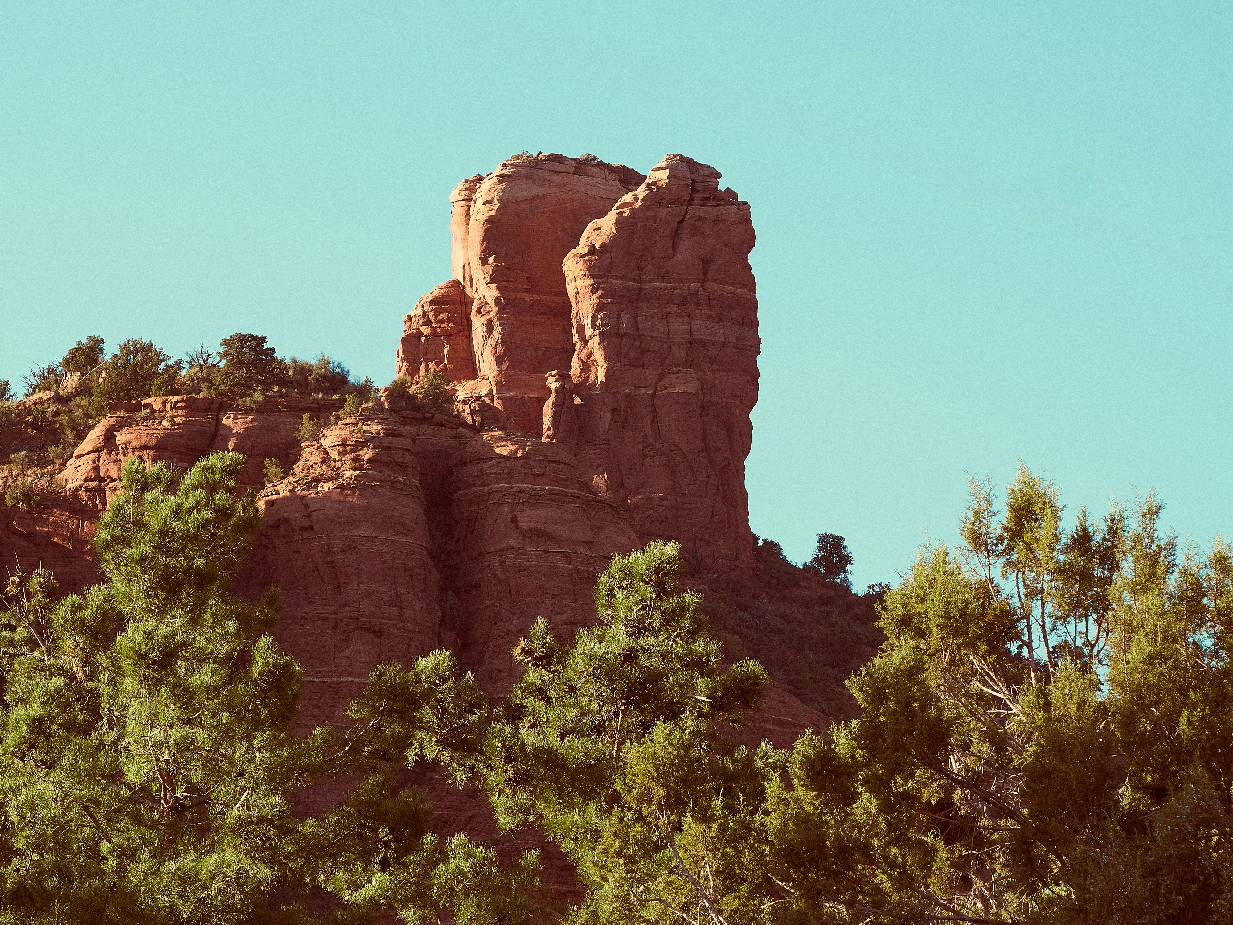 Sedona red rock panoramic landscape at golden hour