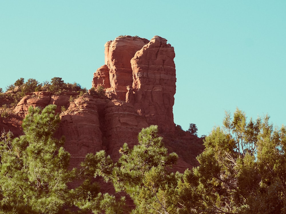brown rock formation near green trees during daytime
