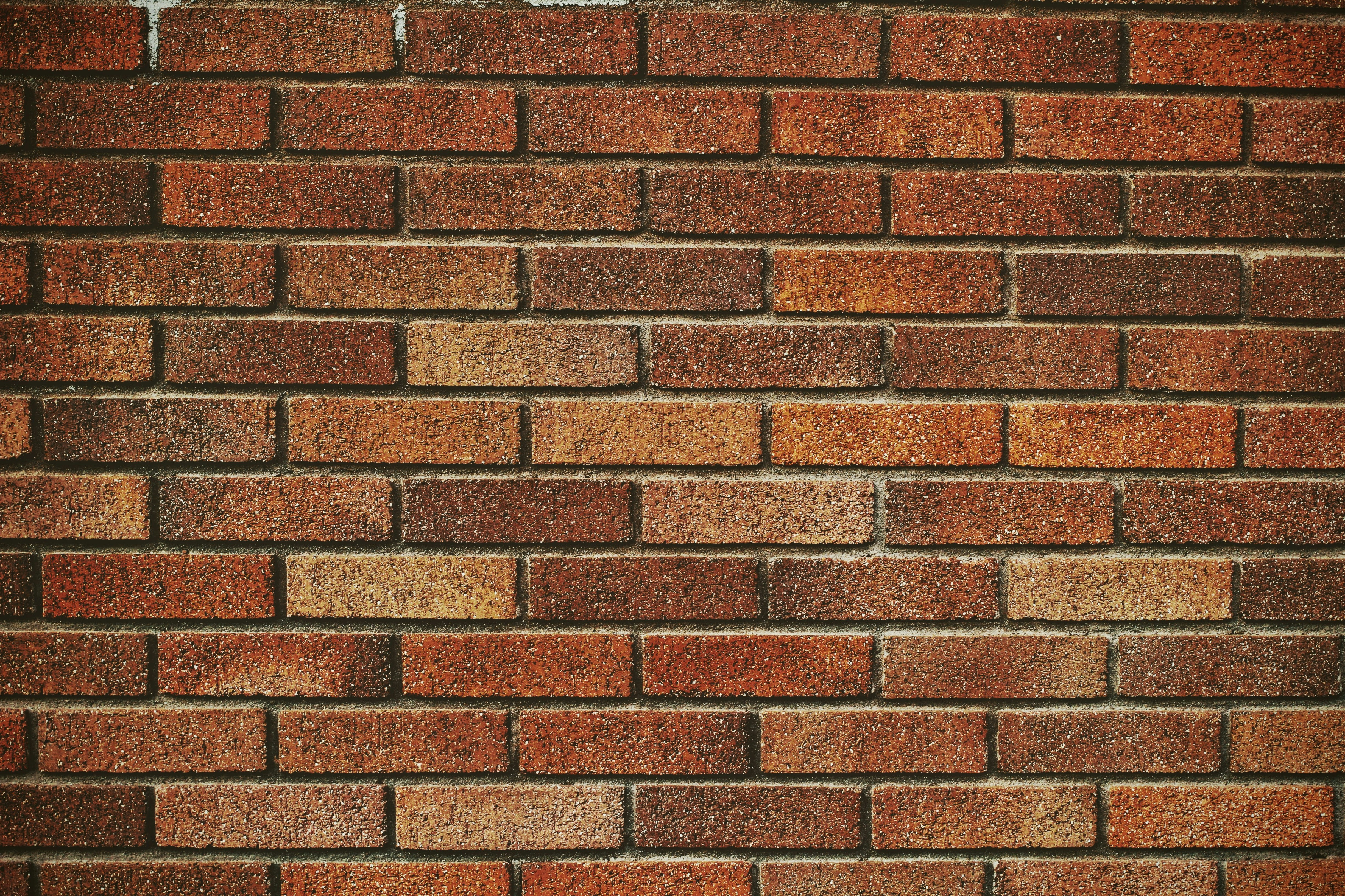 Photo by joshua_hoehne