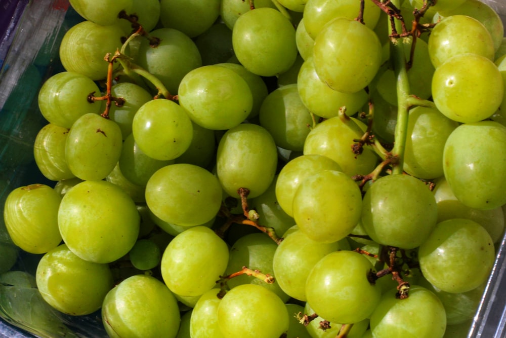 green round fruits on blue plastic container