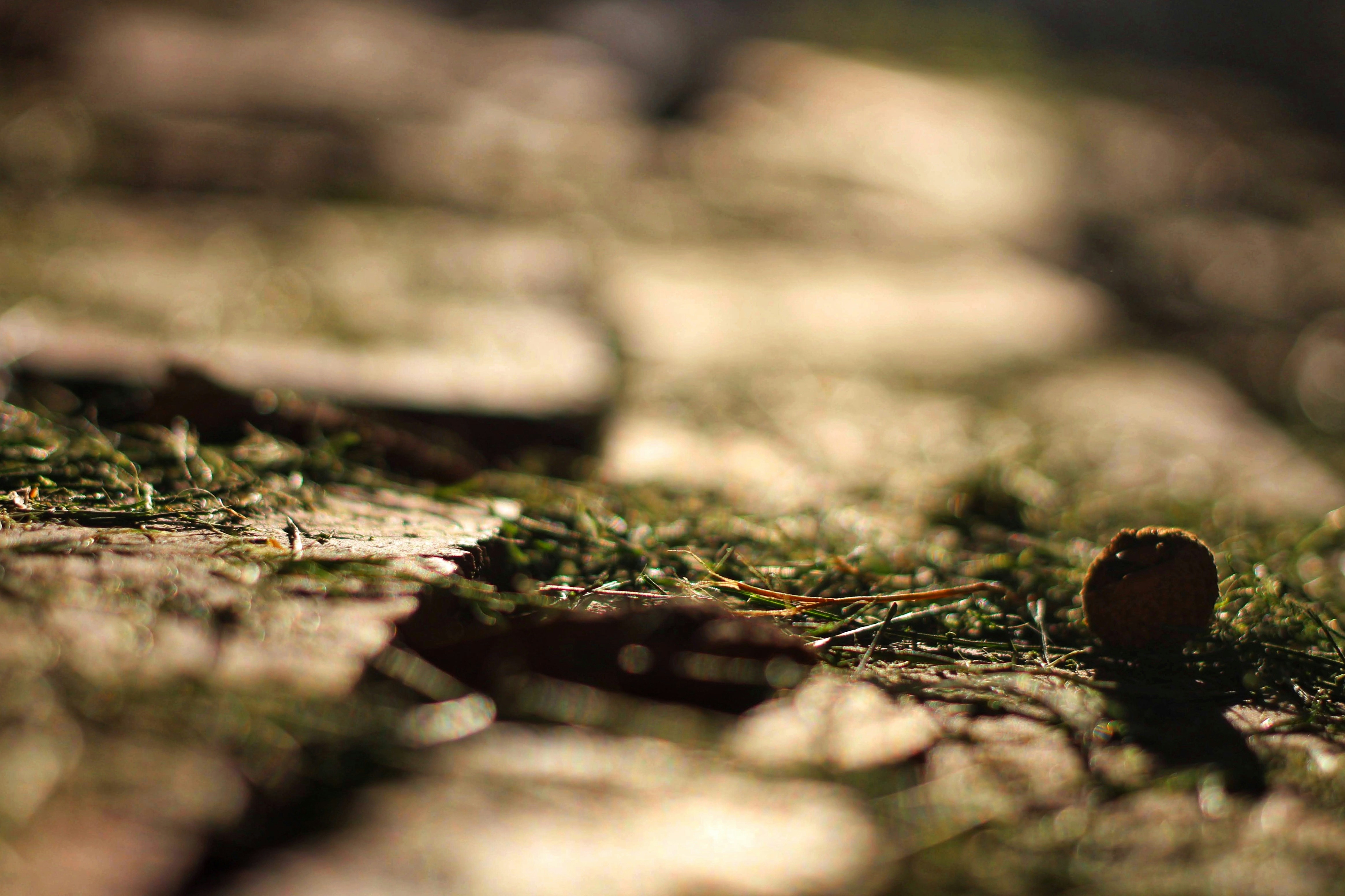 Photo by joshua_hoehne