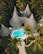 A resort-style setting with several cone-shaped thatched-roof huts surrounded by lush tropical vegetation. A vibrant blue swimming pool is centrally located on a wooden deck, with pathways winding through neatly manicured gardens.