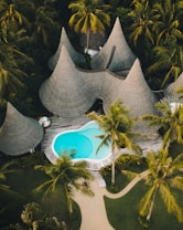 A resort-style setting with several cone-shaped thatched-roof huts surrounded by lush tropical vegetation. A vibrant blue swimming pool is centrally located on a wooden deck, with pathways winding through neatly manicured gardens.