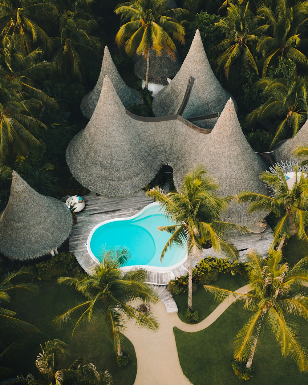 aerial view of green trees and body of water