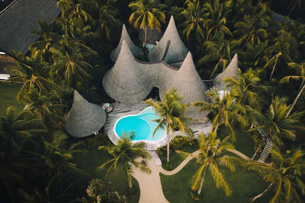 gray concrete structure with green trees