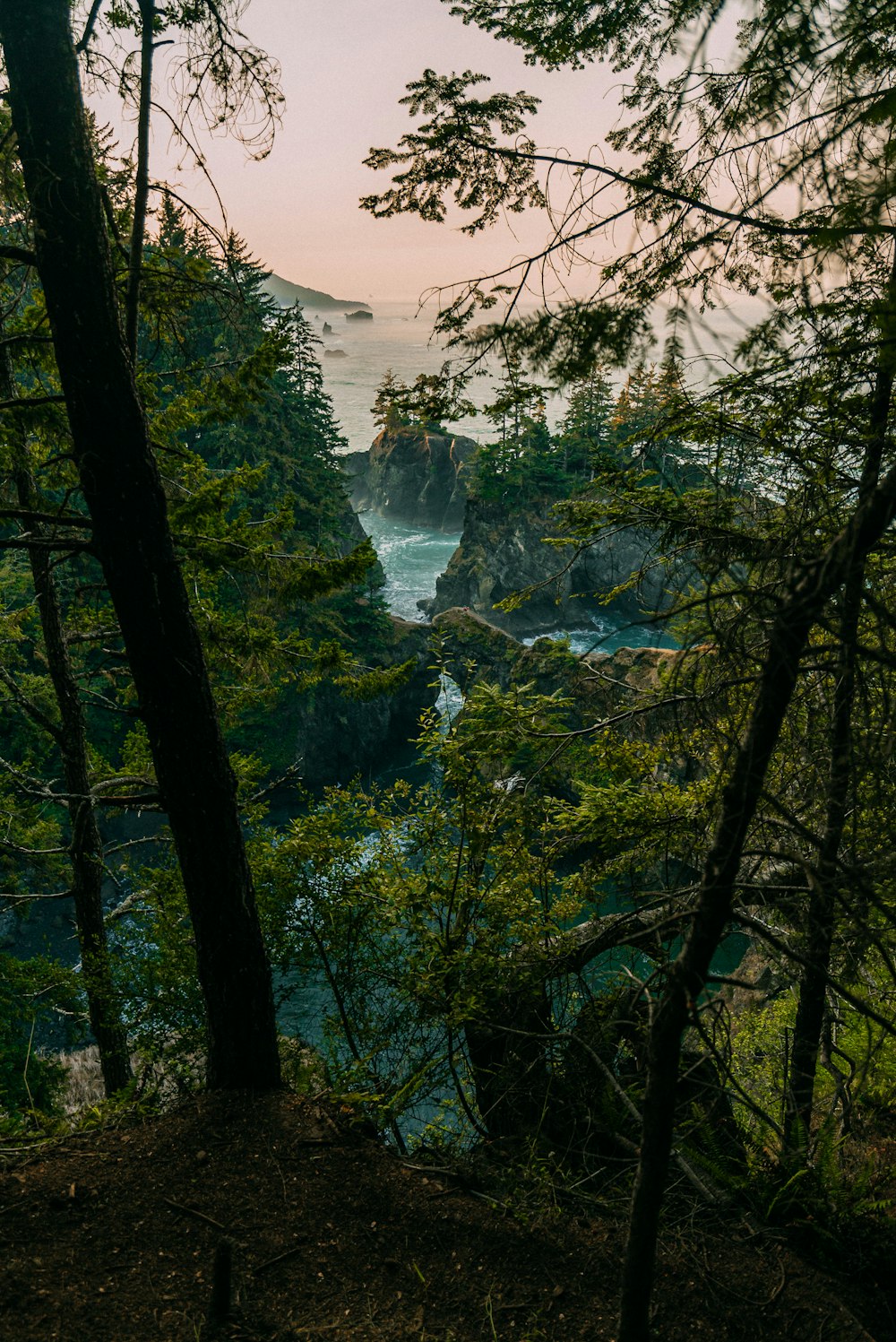 green trees near river during daytime