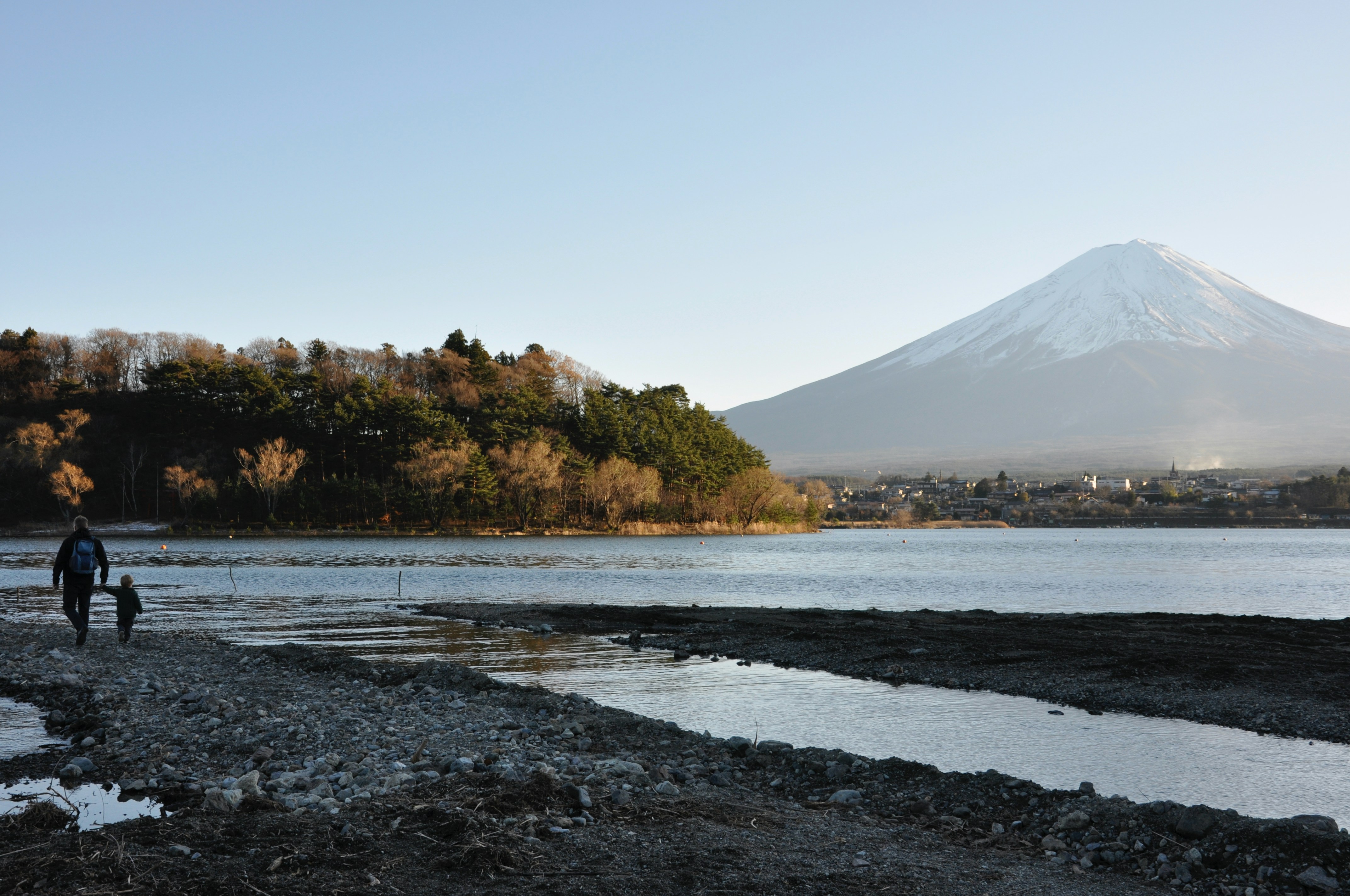 green trees near snow covered mountain during daytime