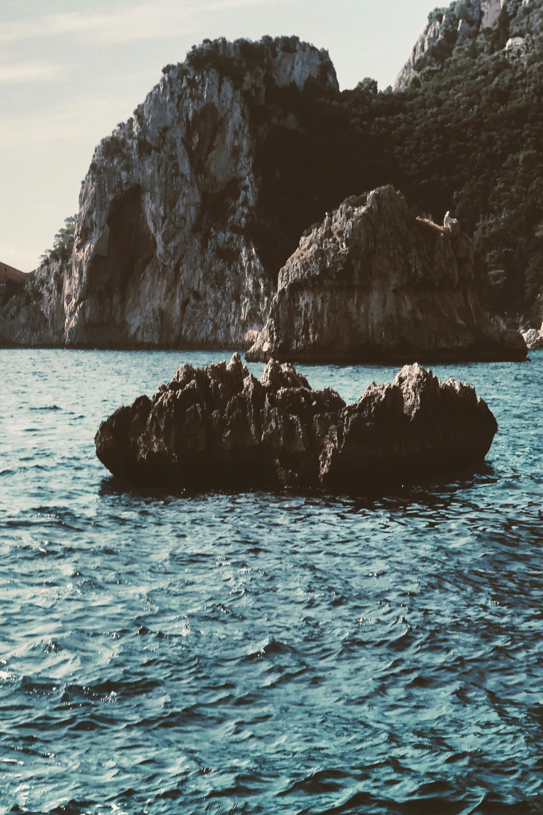 Photo by ythecombinator