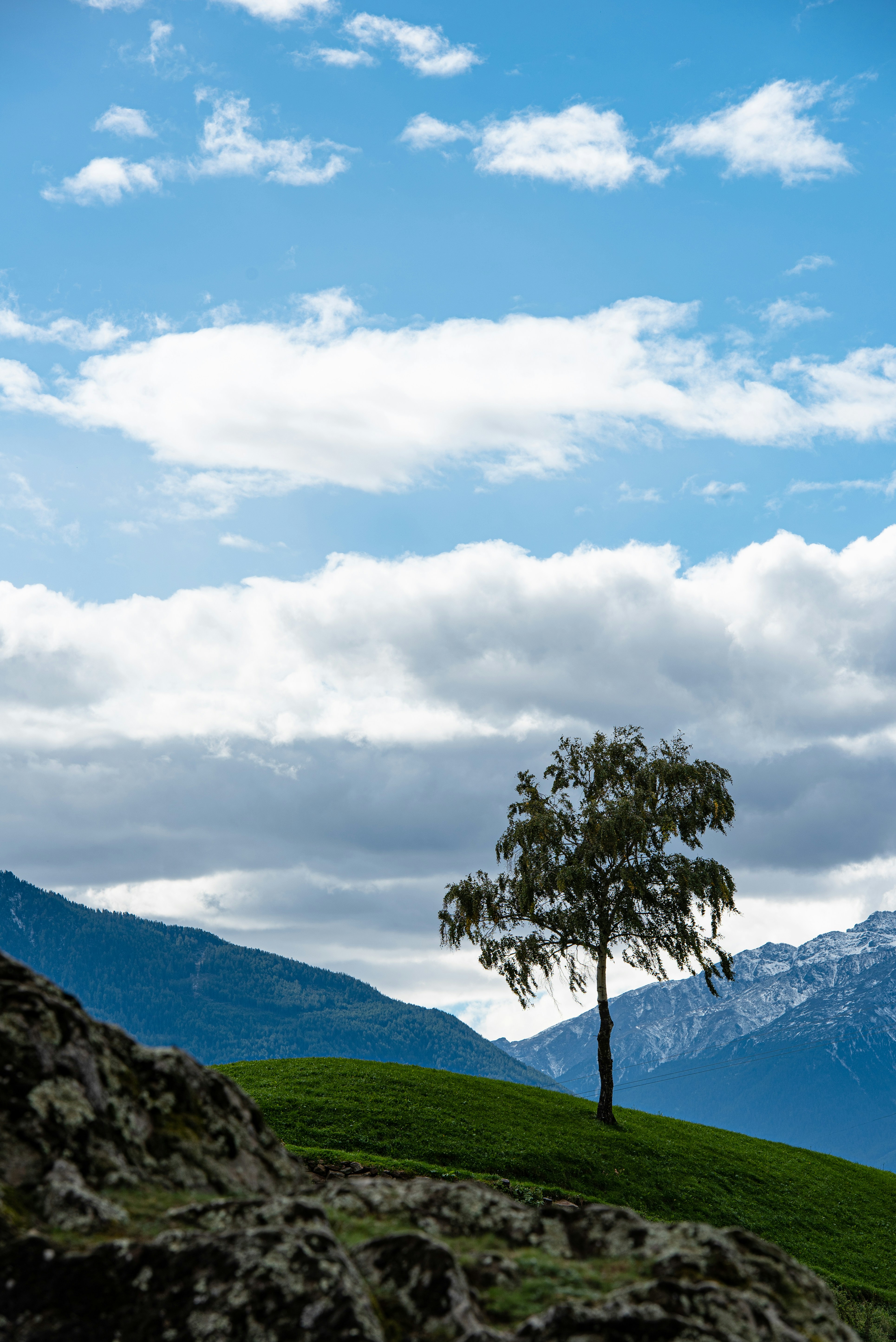 昼間の白い雲と青い空の下の緑の草原の緑の木の写真 Unsplashで見つけるsudtirolの無料写真