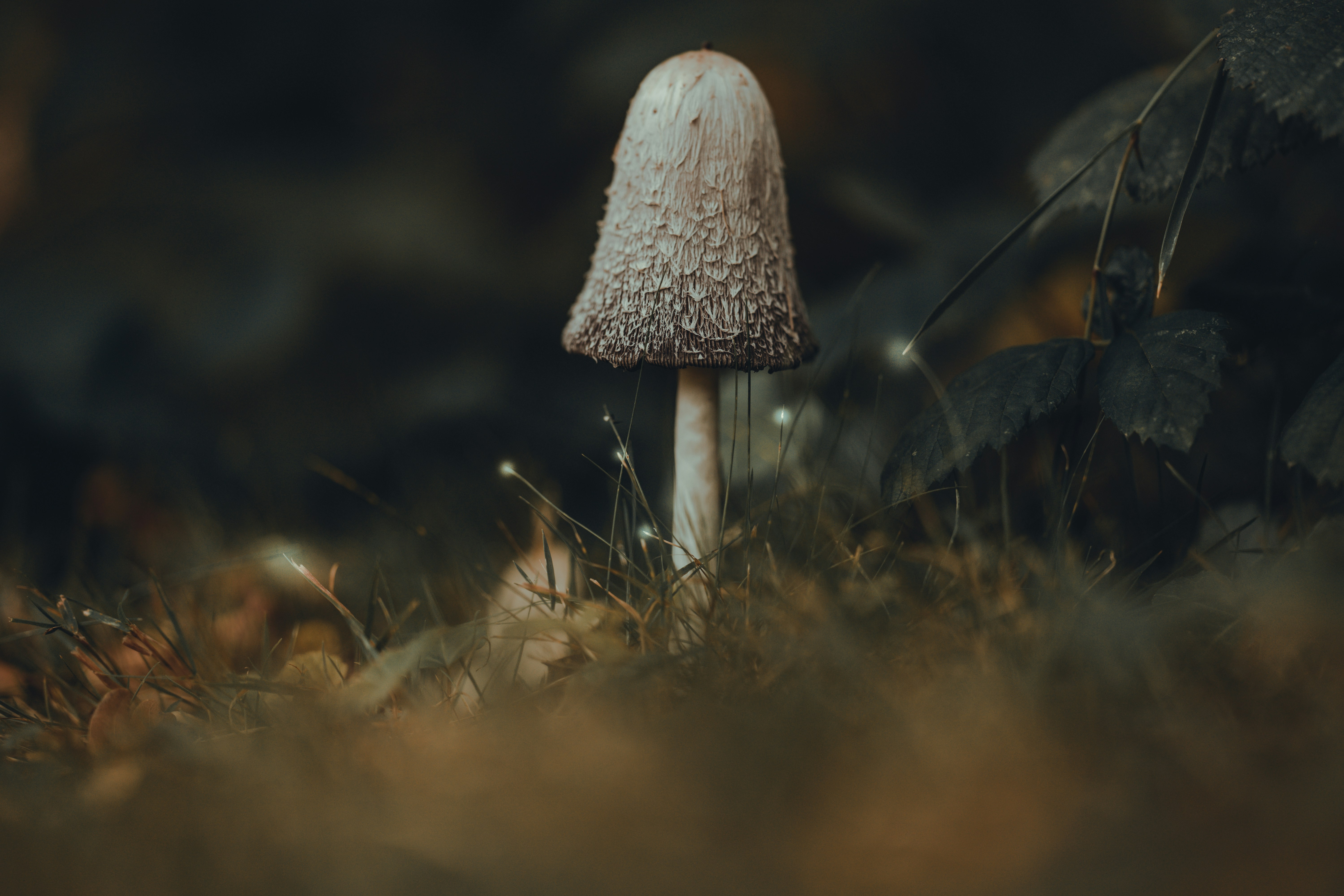Photo by omarvellous14