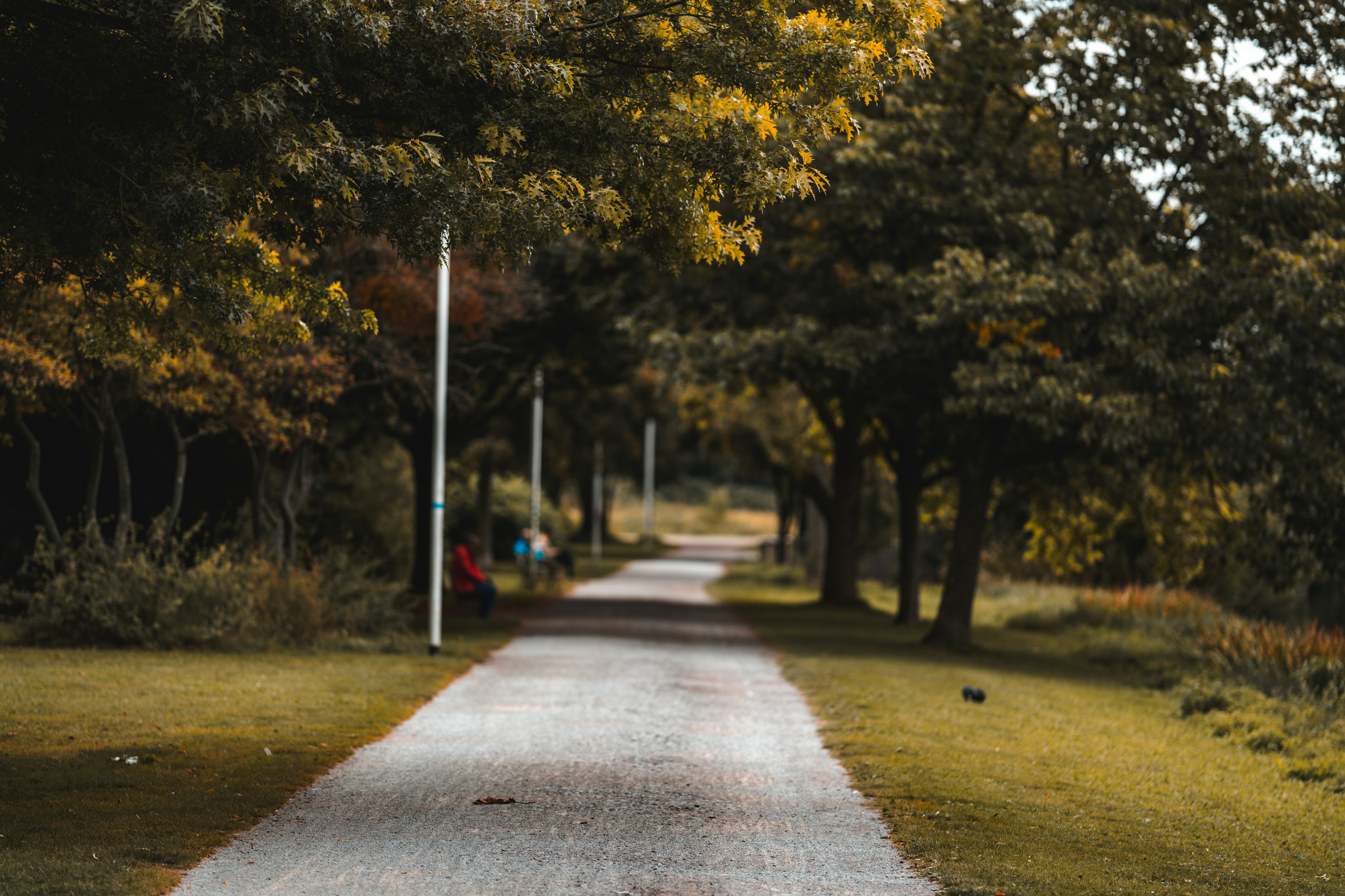 Photo by omarvellous14