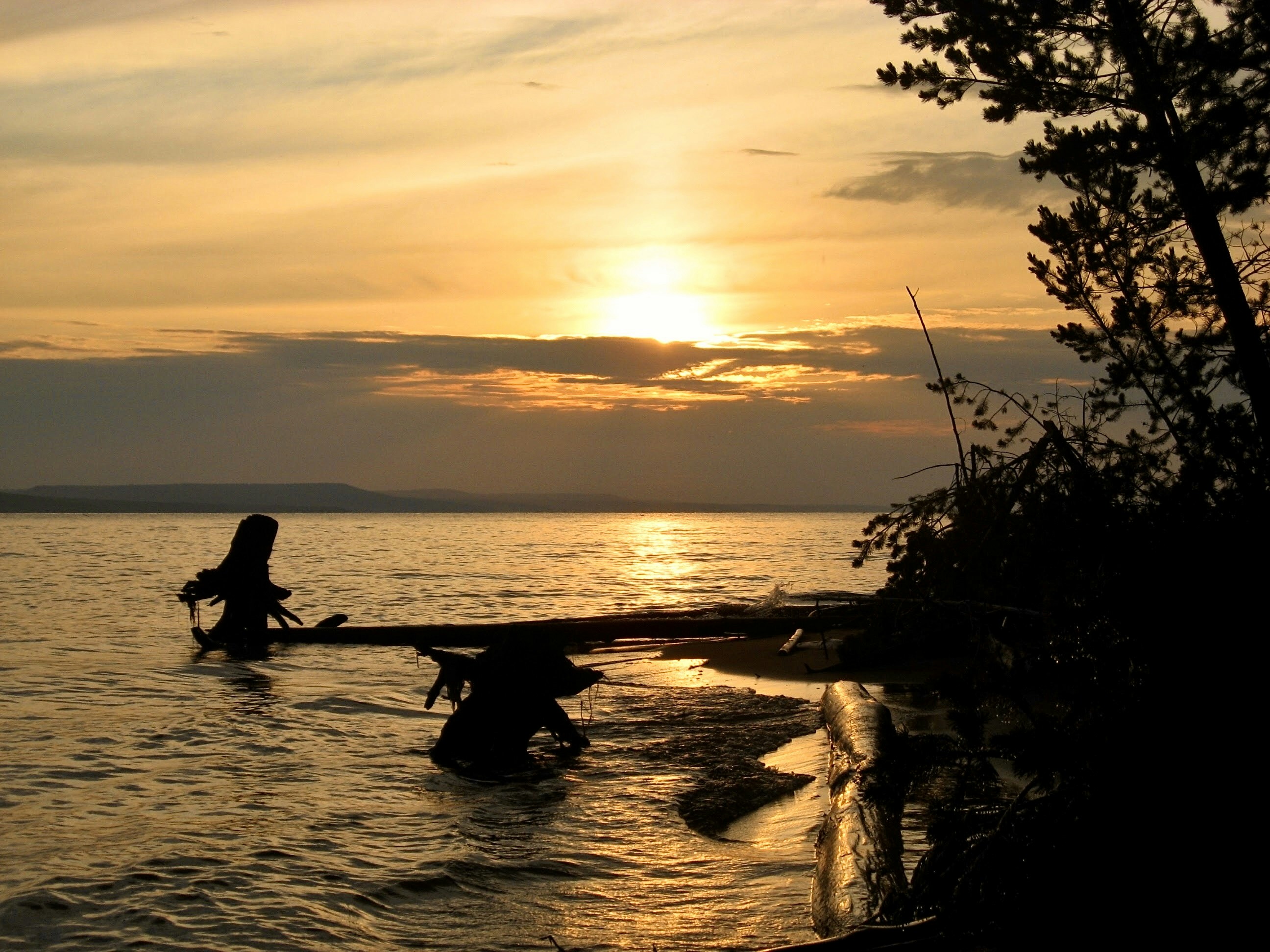 Photo by alx_markoff