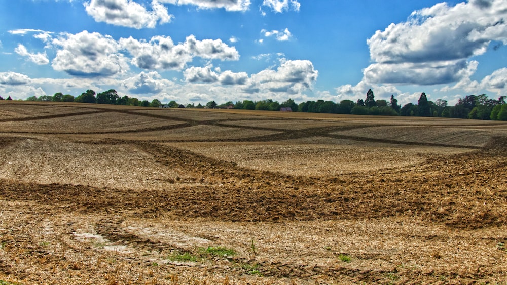 green grass field under blue sky and white clouds during daytime