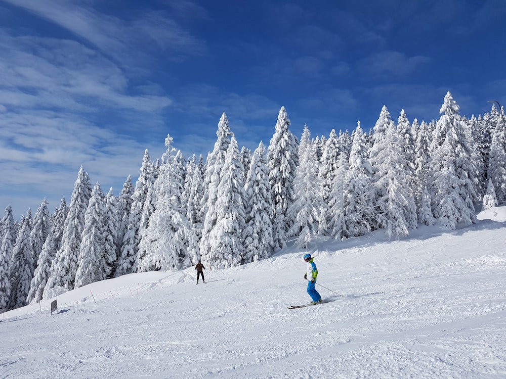 녹색 재킷과 파란색 바지를 입은 2명이 눈 덮인 땅에서 스키 블레이드를 타고 있습니다.