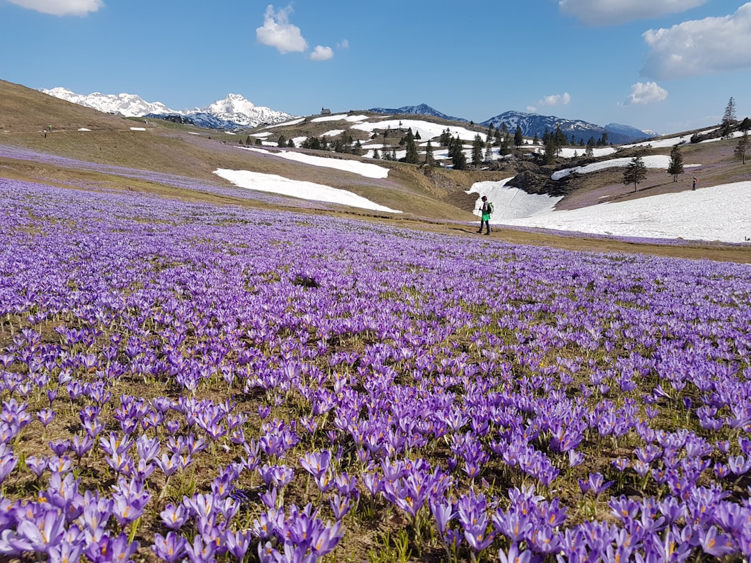 Ecoregion photo spot Velika Planina Rogla