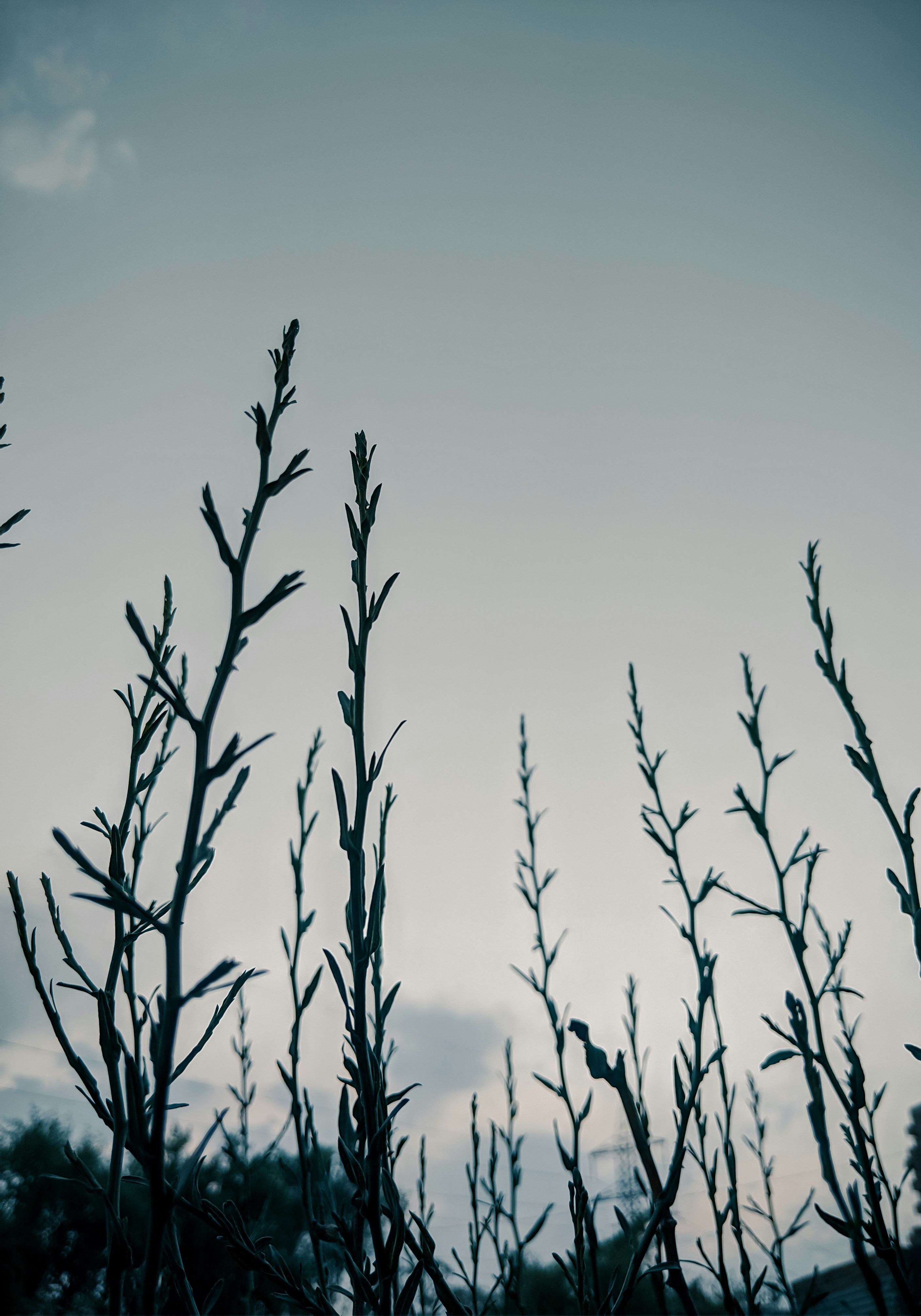 Photo by josephmohammad_95