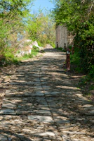 Elegant hardscape design featuring stone pathways and ambient outdoor lighting.