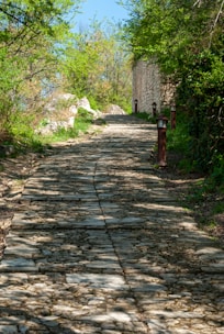Outdoor LED wall lights highlighting a garden pathway at dusk.