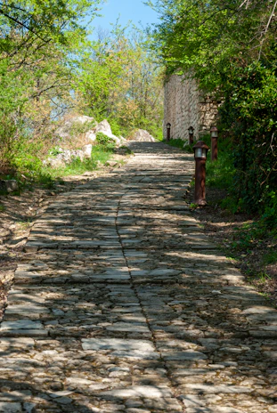 A modern garden pathway lined with sleek, app-controlled lighting casting inviting pools of light along stone steps.