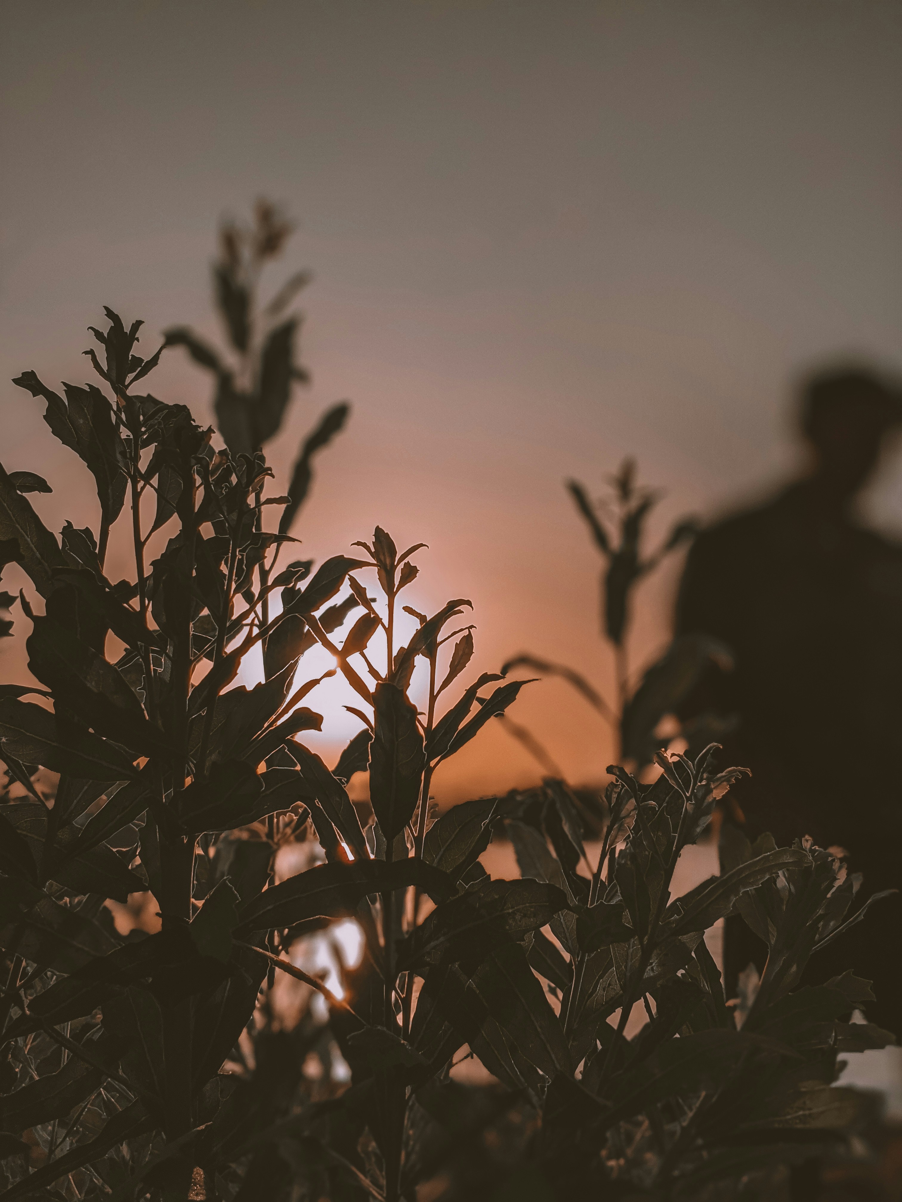 Photo by josephmohammad_95