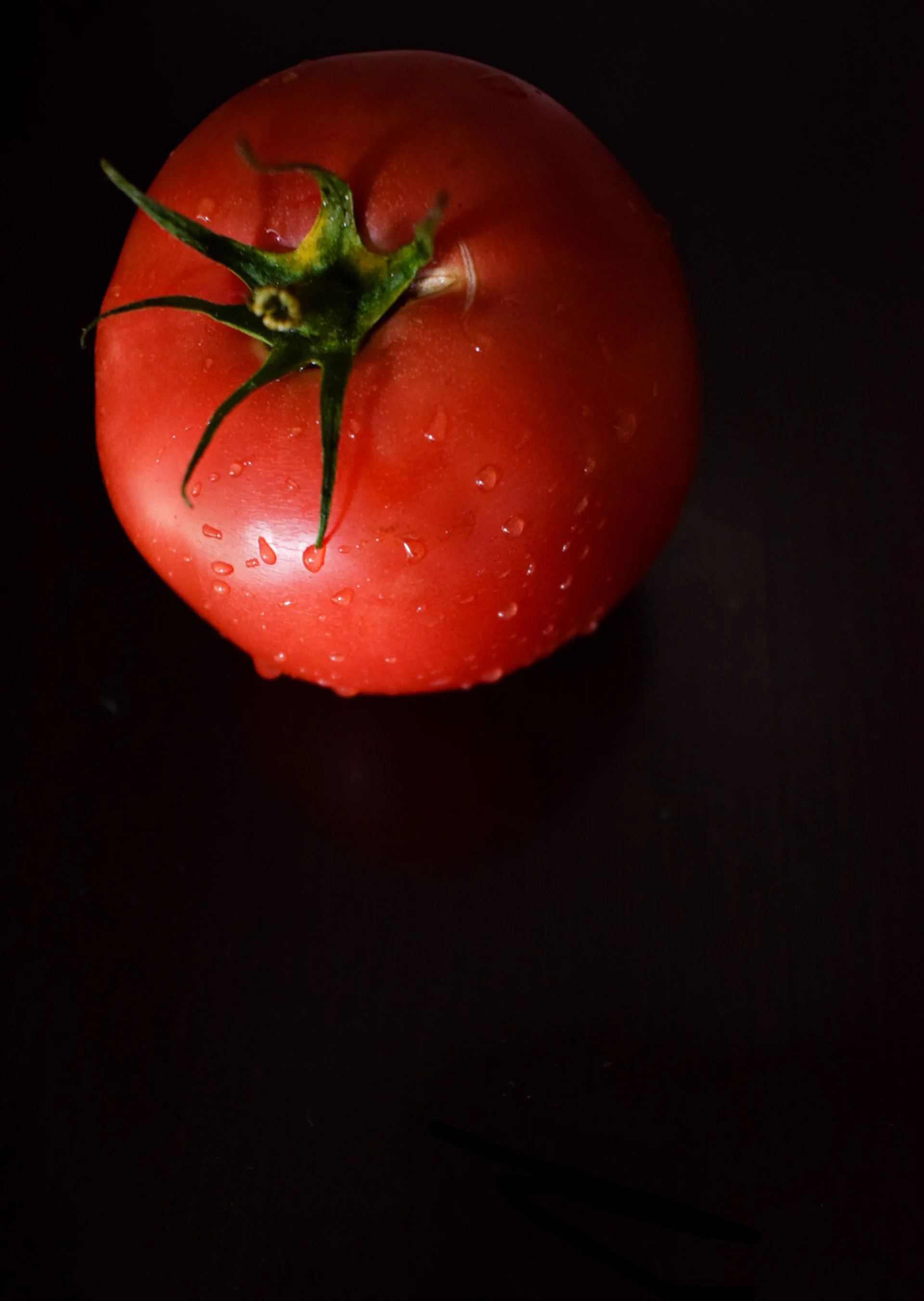 Un pomodoro maturo isolato su una superficie nera.