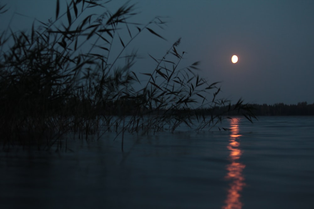 specchio d'acqua durante il tramonto