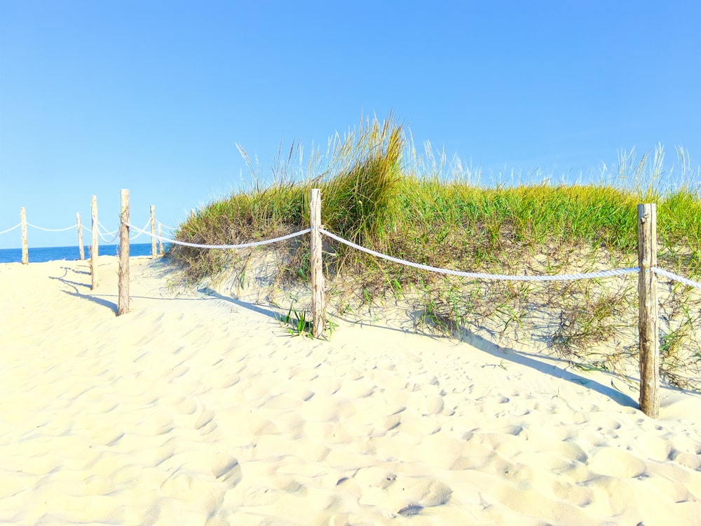 white sand with green grass under blue sky during daytime