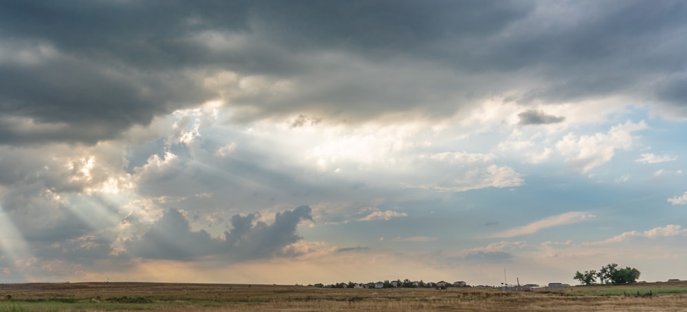 green grass field under white clouds during daytime