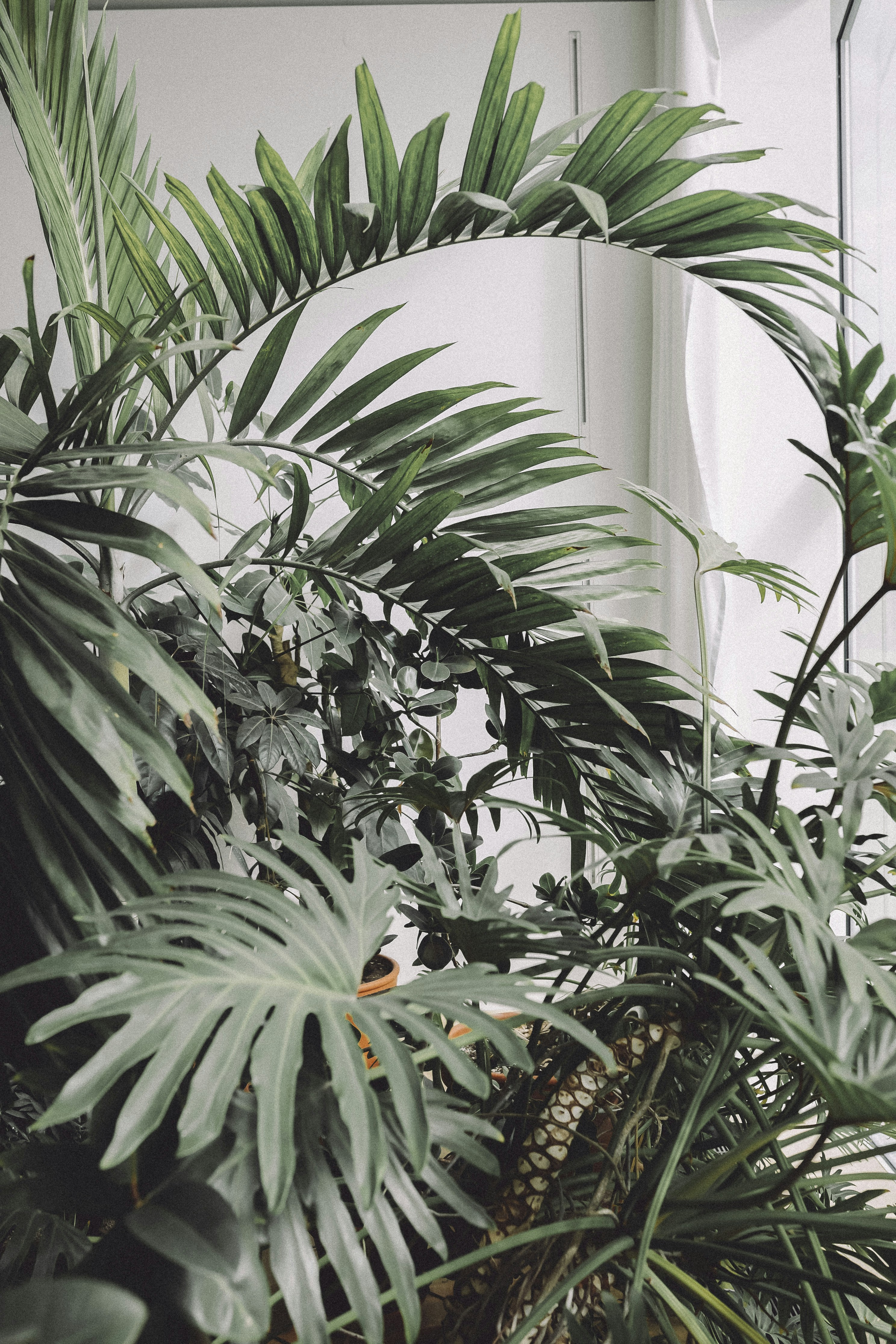 Blockchain Beyond the Hype: Where It Actually Transforms Logistics