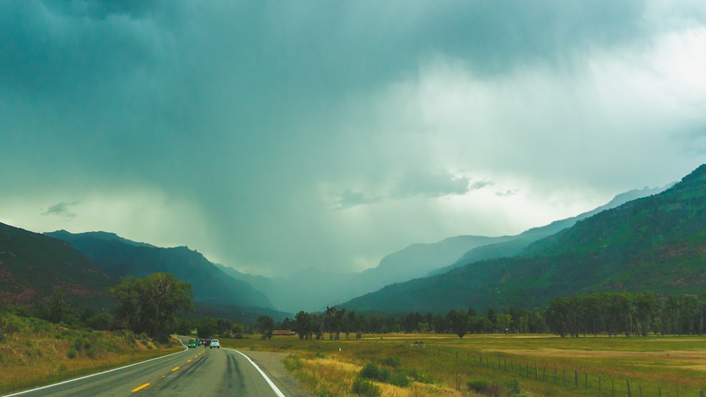 camino de asfalto gris entre campo de hierba verde bajo cielo gris