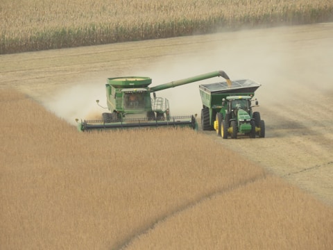 A green combine harvester is actively harvesting grain in a large field. Dust clouds are forming behind it, indicating movement and activity. Accompanying the harvester is a tractor and a grain cart positioned beside it, collecting the harvested crop.
