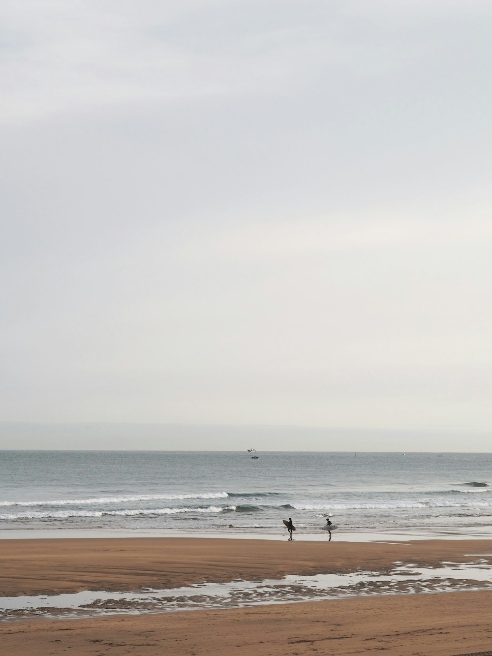 people on beach during daytime