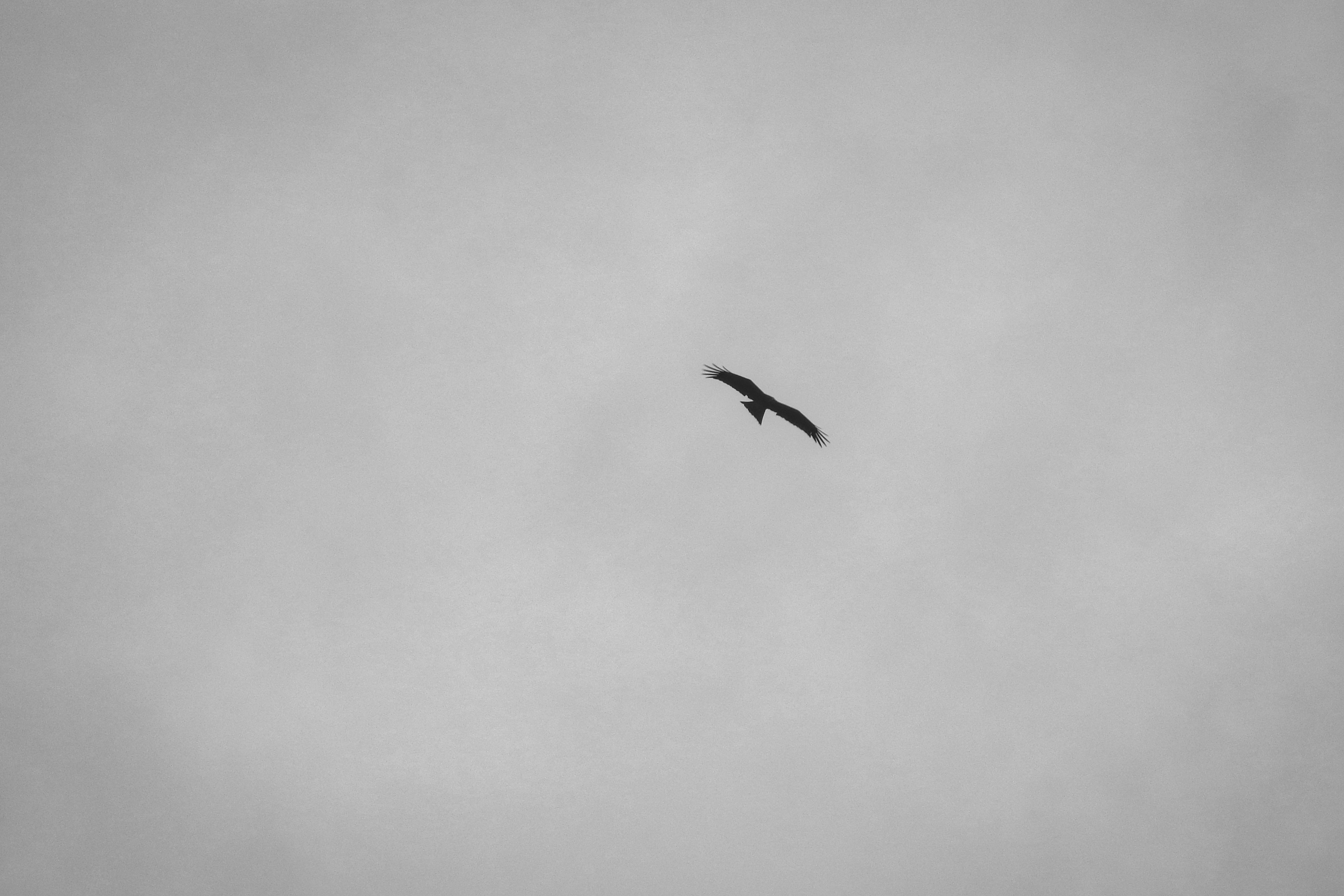 Photo by thomaskinto