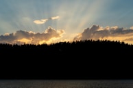 Sunset over a forested landscape with rays of sunlight streaming through fluffy clouds, creating a dramatic and serene atmosphere. The silhouette of the trees contrasts against the vibrant sky, which is infused with warm hues.