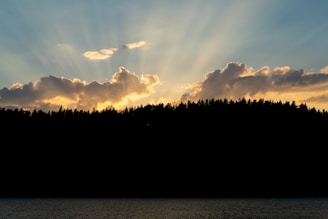 Sunset over a forested landscape with rays of sunlight streaming through fluffy clouds, creating a dramatic and serene atmosphere. The silhouette of the trees contrasts against the vibrant sky, which is infused with warm hues.