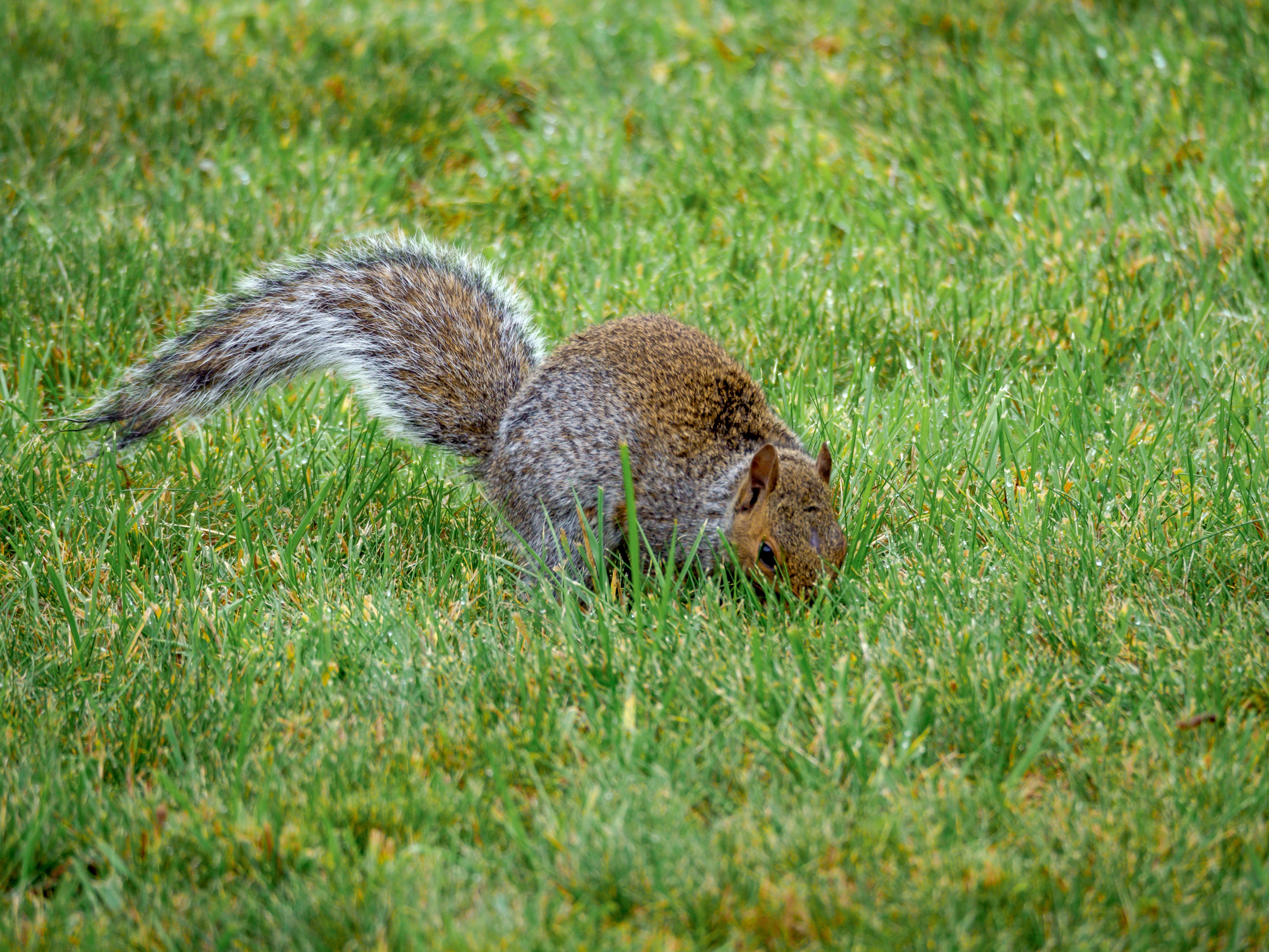 Photo by brett_jordan