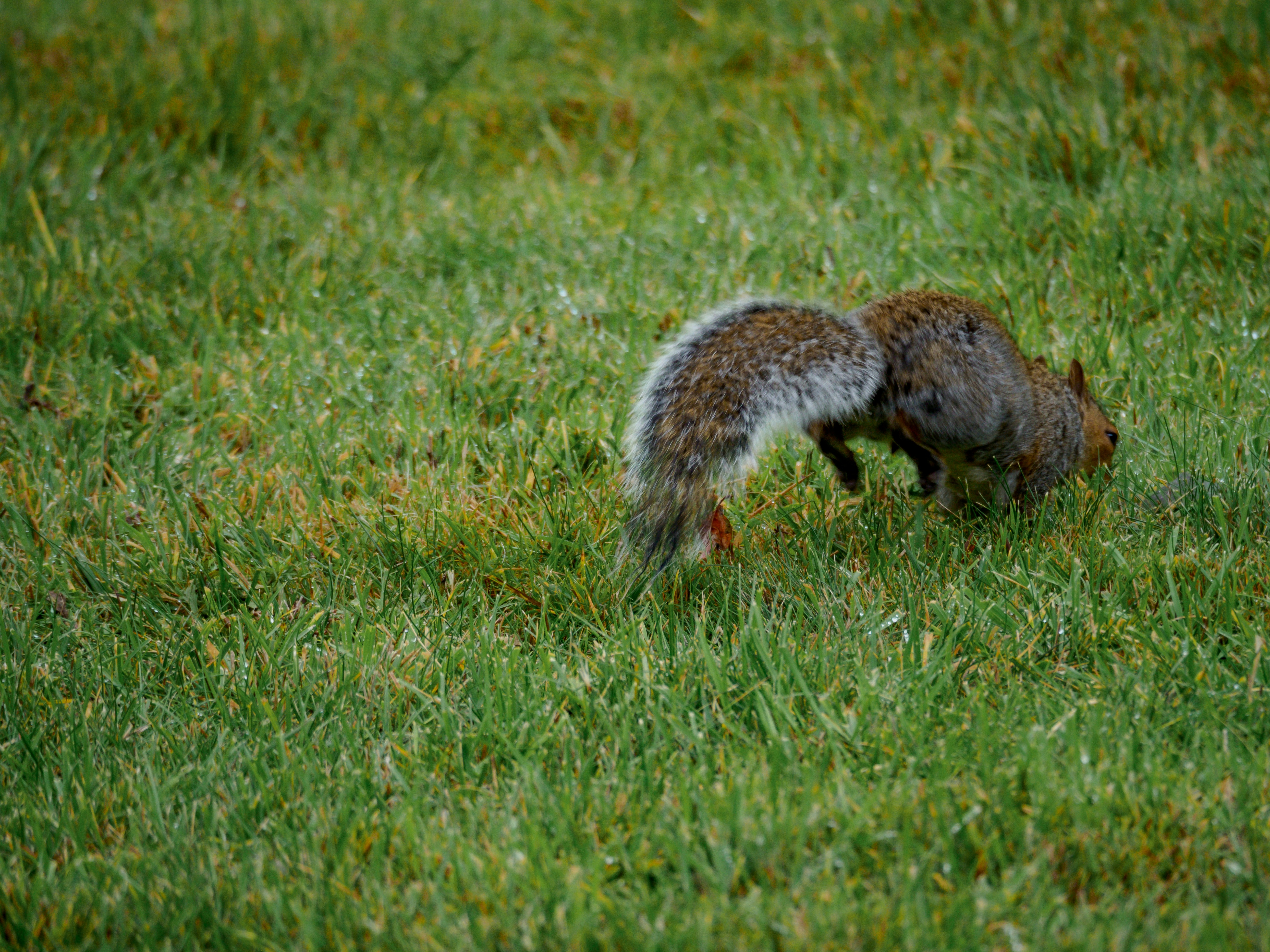 Photo by brett_jordan