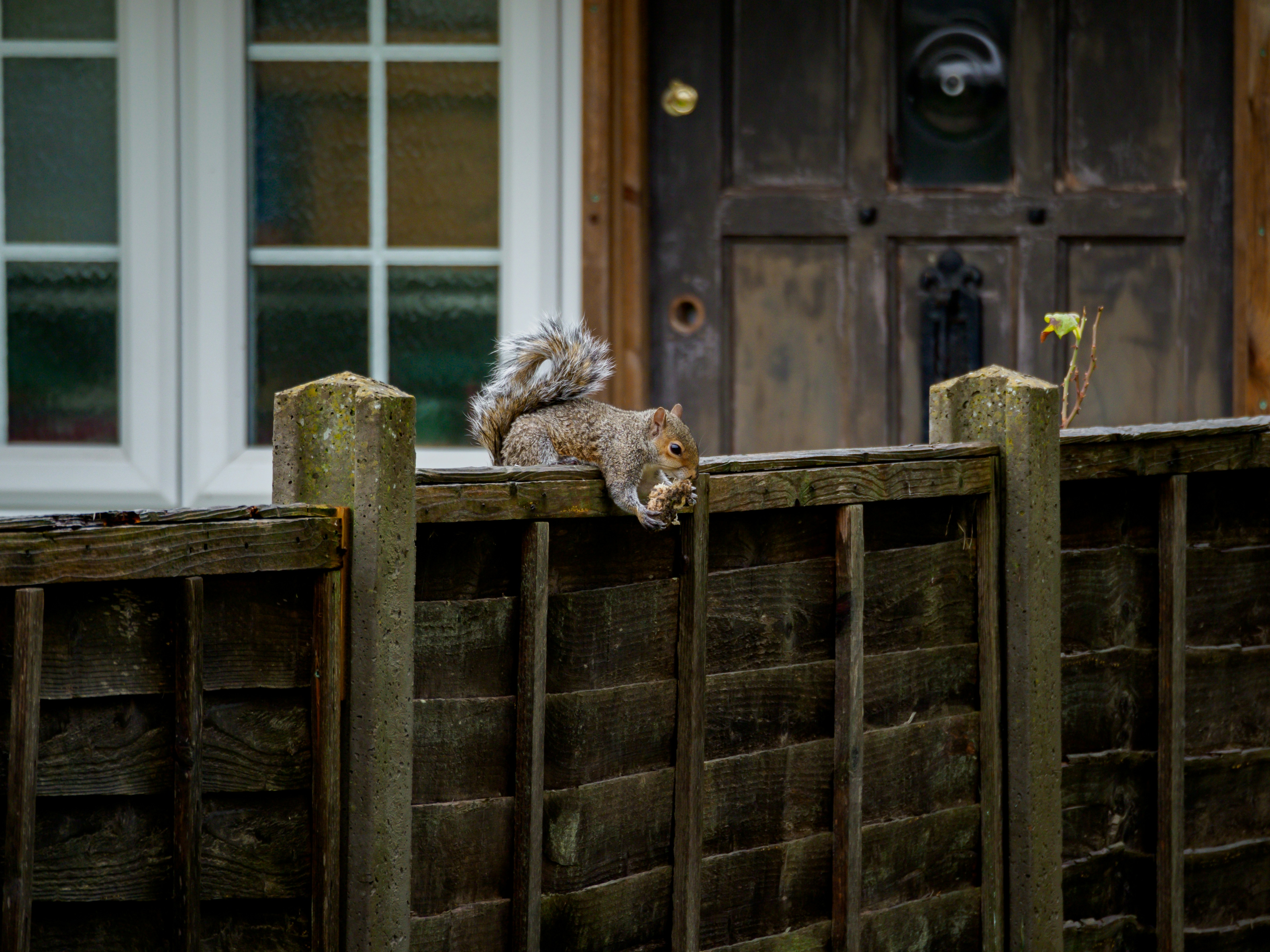 Photo by brett_jordan