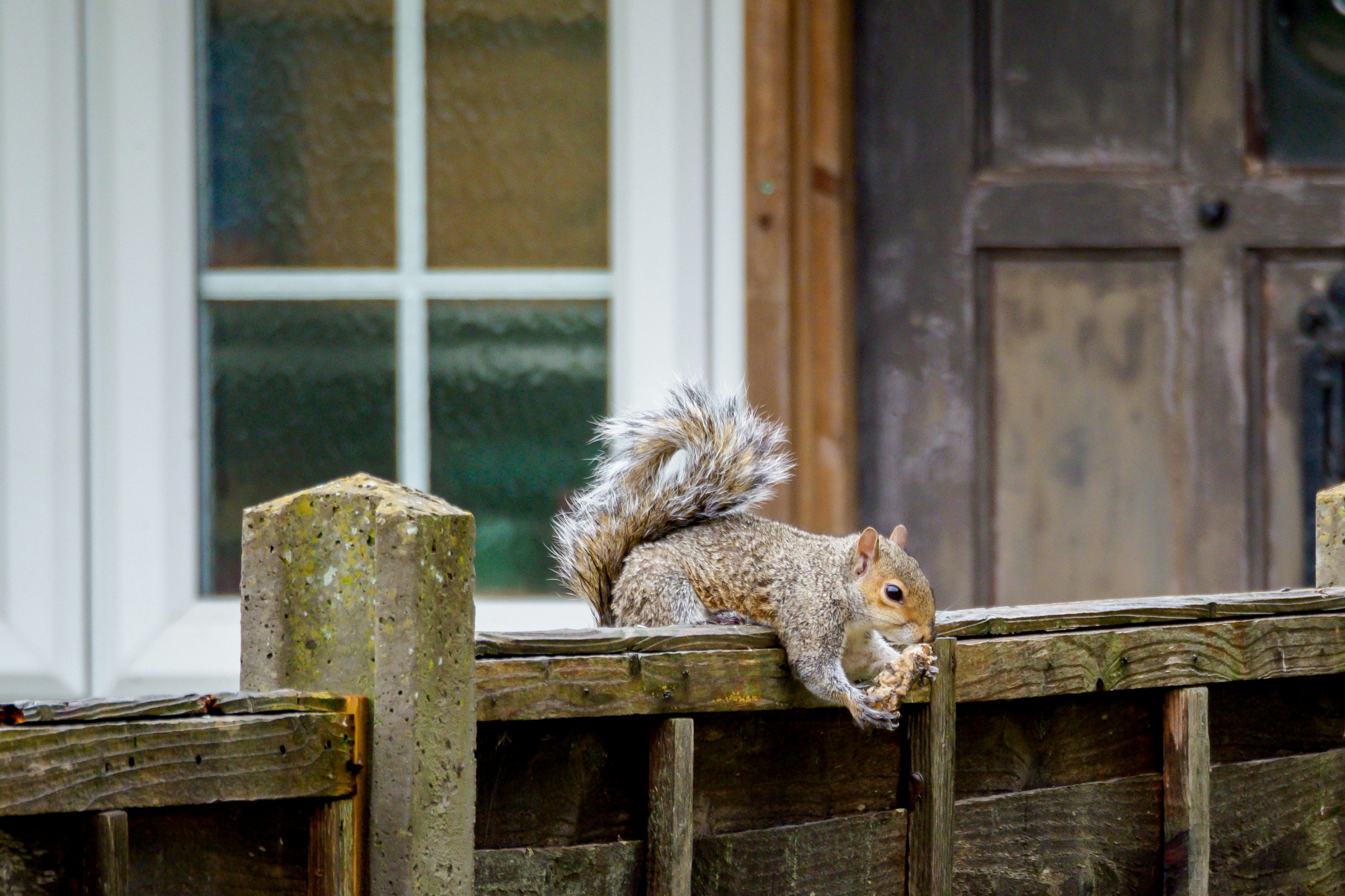 Photo by brett_jordan