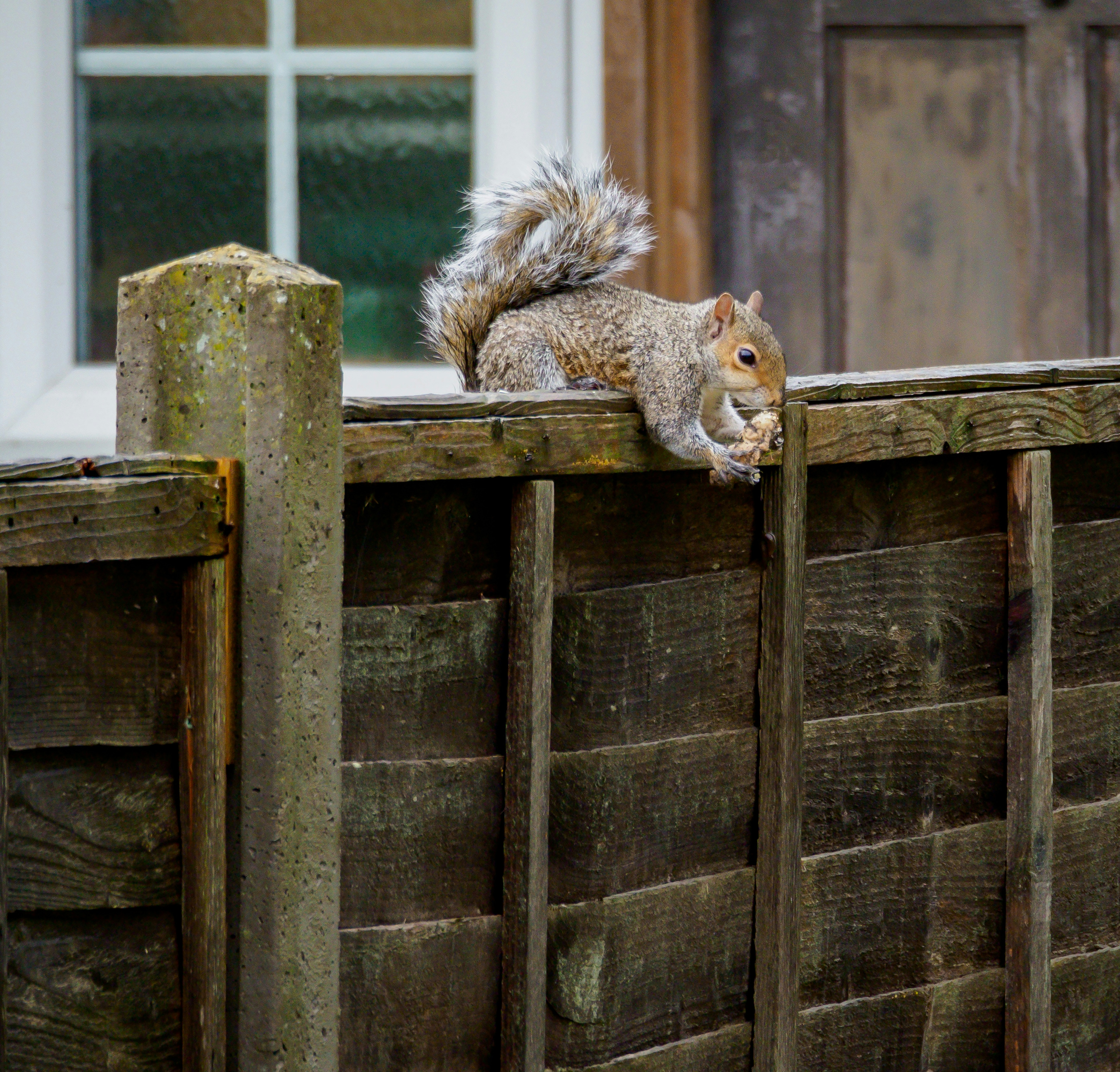 Photo by brett_jordan