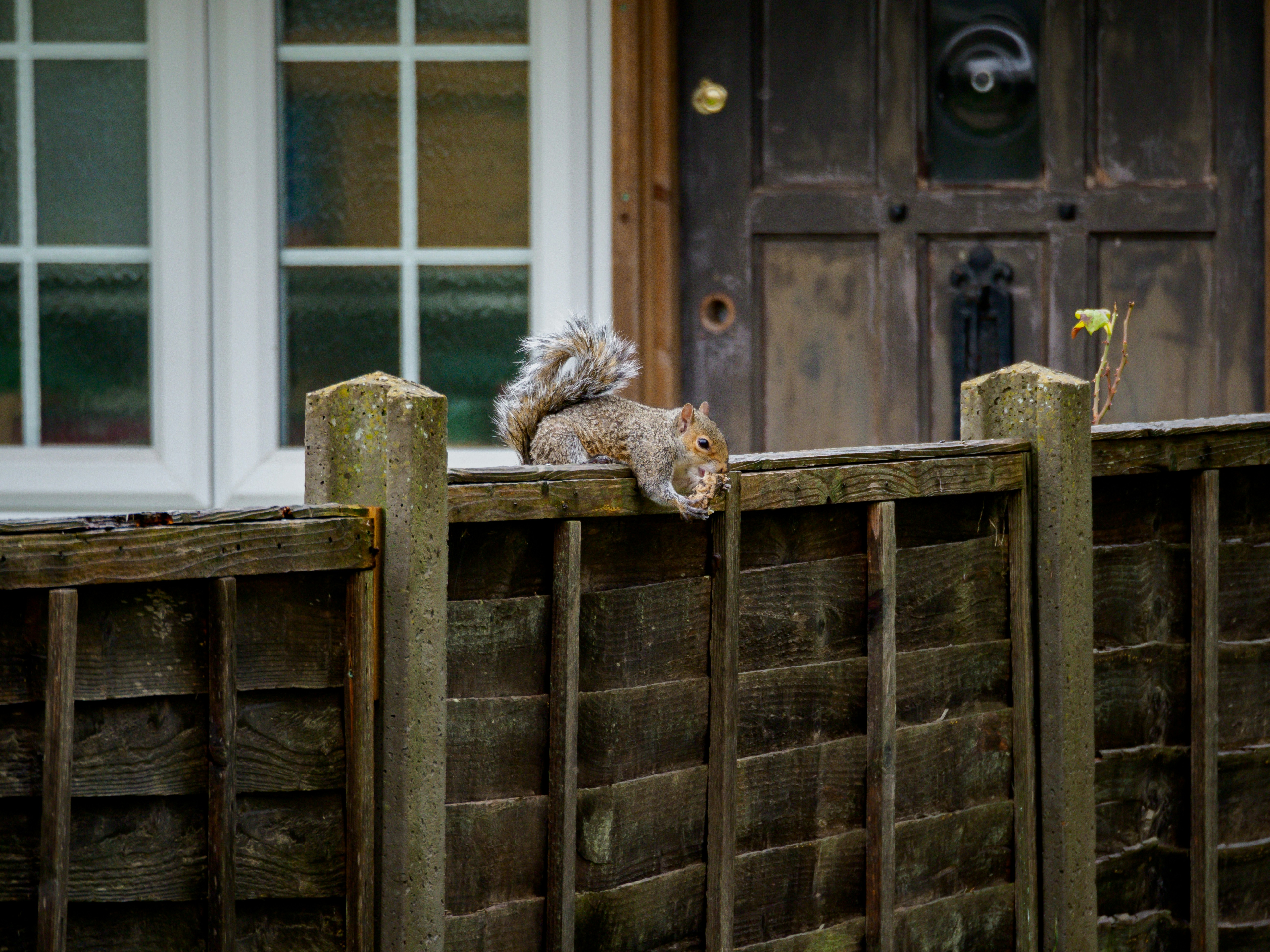 Photo by brett_jordan