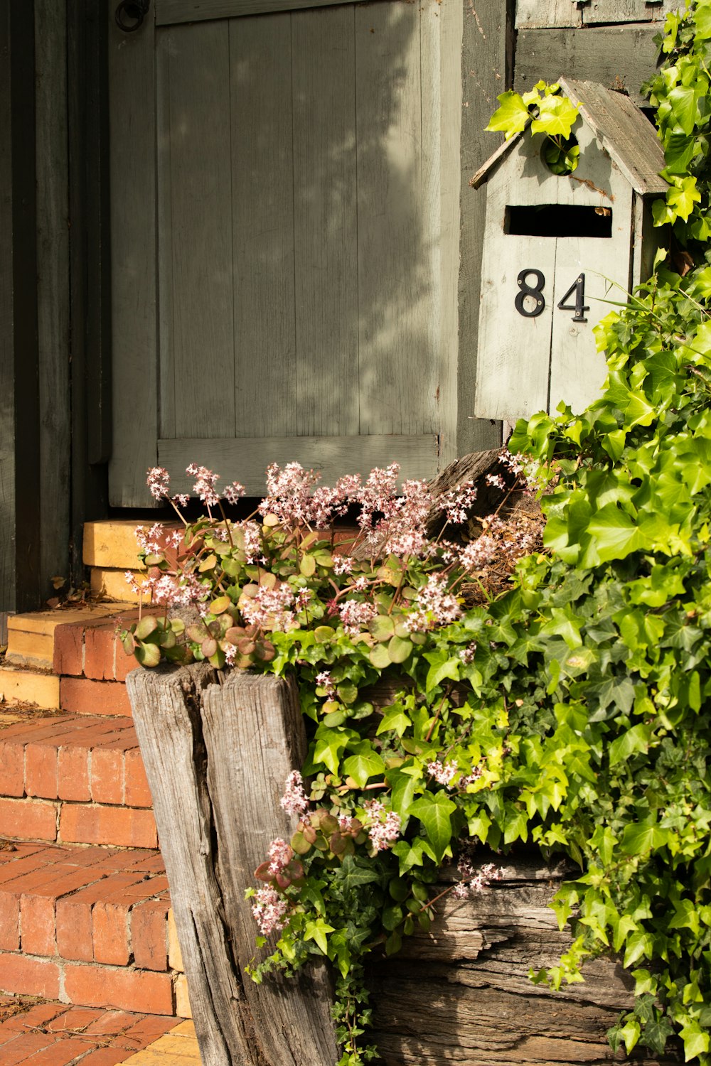 green and purple flowers on brown wooden fence