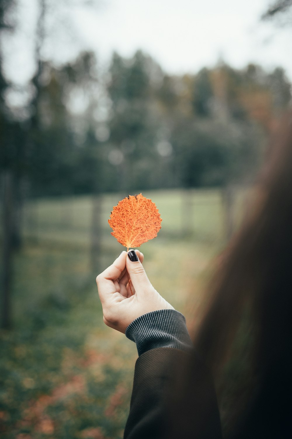 person holding orange flower bouquet